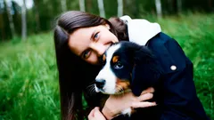 Hassas Burunlar İçin En İyi Köpekler: Neredeyse Hiç Koku Yaymayan Irklar