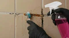 Fayans Aralarındaki Küften Nasıl Kurtulunur? Basit ve Etkili Yöntemler