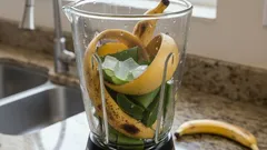 Muz Kabuğu ile Aloe Vera’yı Karıştırmak: Neden Öneriliyor, Hangi Faydaları Sağlıyor?