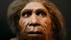 Neandertaller Yok Olmadı: Yeni Araştırma İnsan Evrimi Anlayışını Değiştiriyor