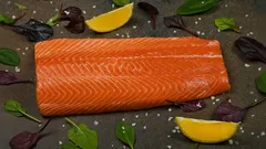 Hangi Balıkta En Az Kılçık Var? Popüler Deniz ve Tatlısu Türleri