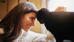 Bir kedi sizi seviyorsa nasıl anlarsınız: En güçlü 9 işaret