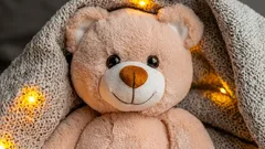 Çocuğunuzun peluş oyuncaklarını en son ne zaman yıkadınız? Bunu düzenli yapmanız gerektiğinin nedeni burada