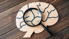 Hafıza Nasıl Güçlendirilir? Hiçbir Şeyi Unutmamanıza Yardımcı Olacak Basit Yöntemler