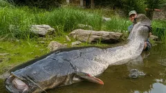 Balıkçılıkta etik ve rekor: Vágner’in olağanüstü başarısından öğrenilecekler